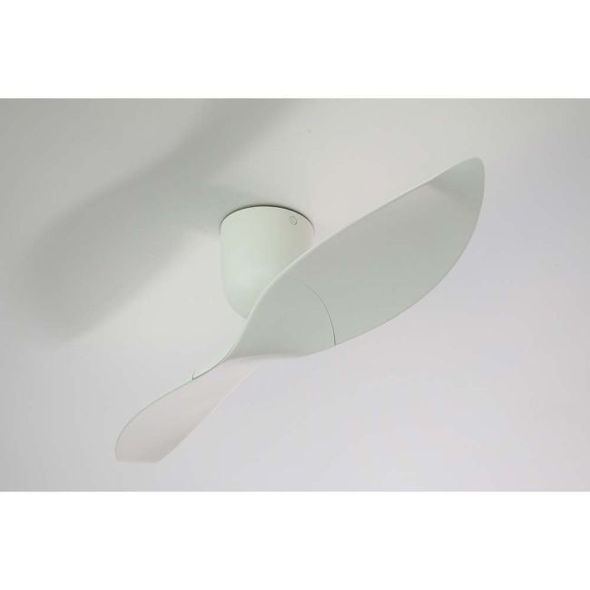 Aeratron AE2+ 50" DC 2 Blade Ceiling Fan with Remote Control White PL250WH