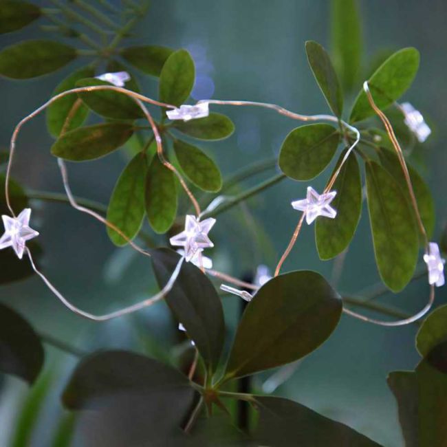 Eglo Dew Drop Star LED String Fairy Light Christmas Decoration