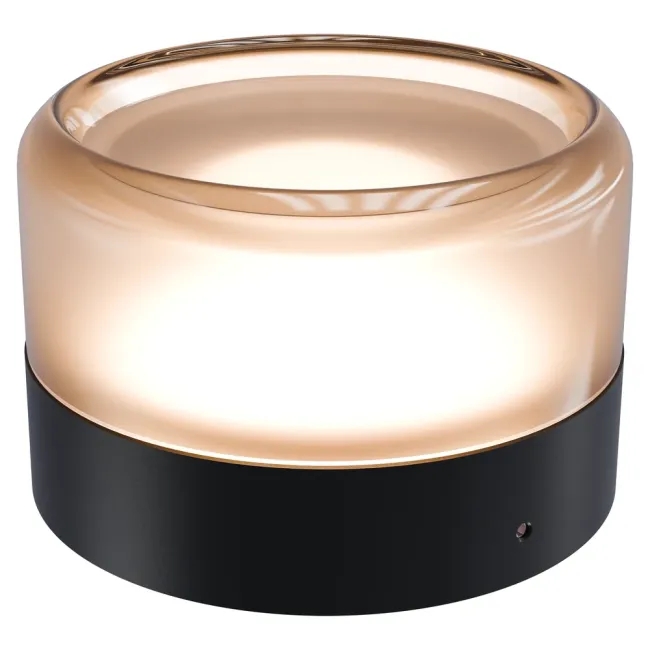 Calibo Gull Interior & Exterior Frosted Wall Light in Black GUL-14WL-5W-FR-BK