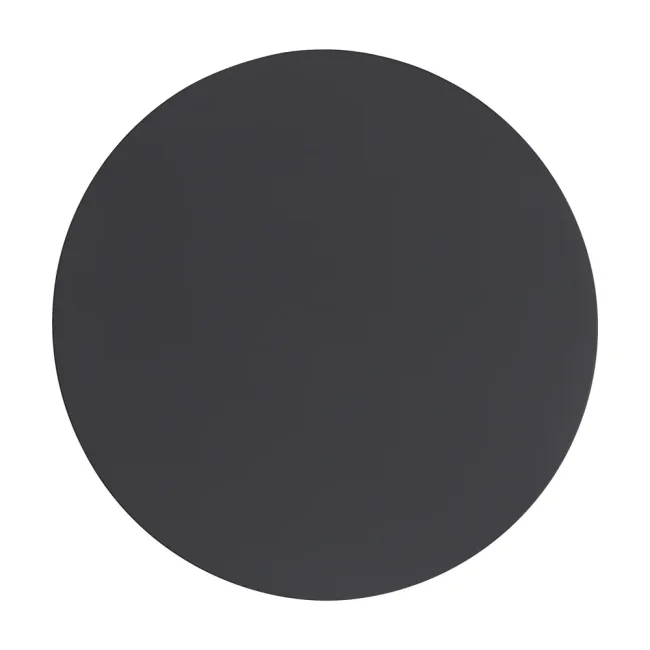 Eglo Orlando LED 300mm Wall Light in Black 207955