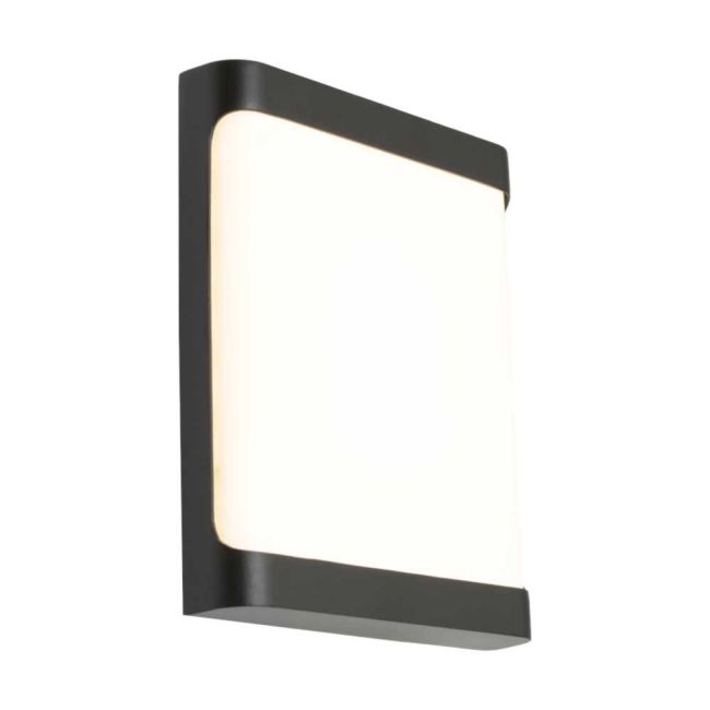 Odessa Cougar Lighting Exterior Wall Light in Black