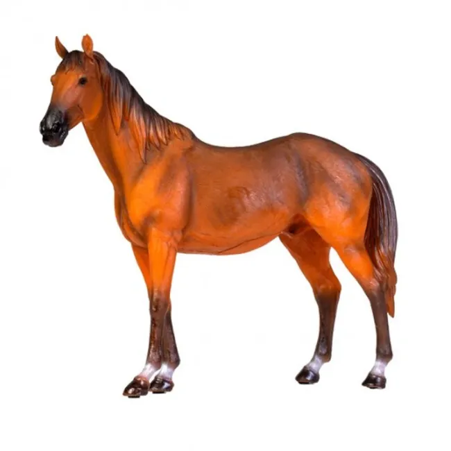 Toongabbie Horse LED Table Lamp TNMDXW-TL-H2